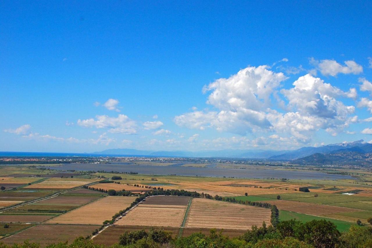 Massaciuccoli Romana المظهر الخارجي الصورة