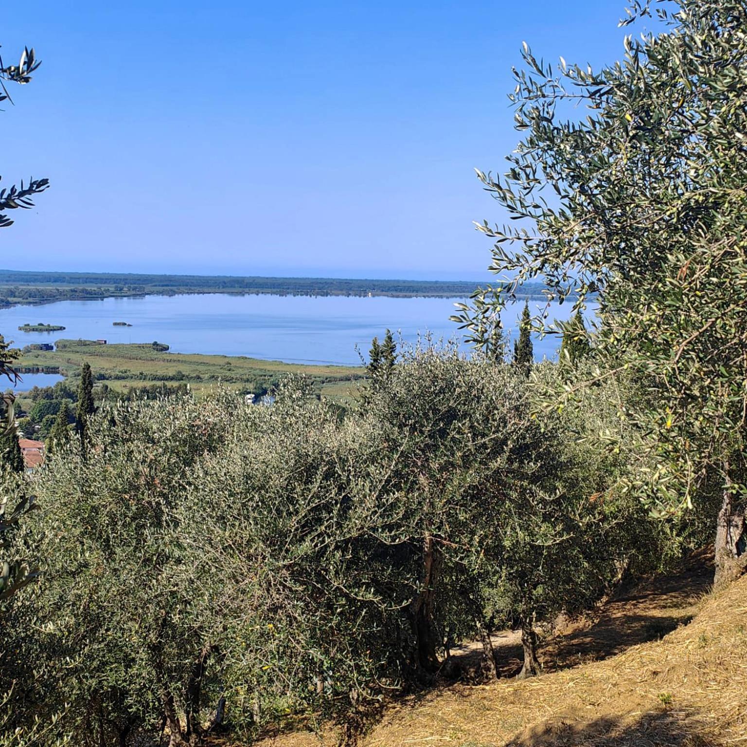 Massaciuccoli Romana المظهر الخارجي الصورة